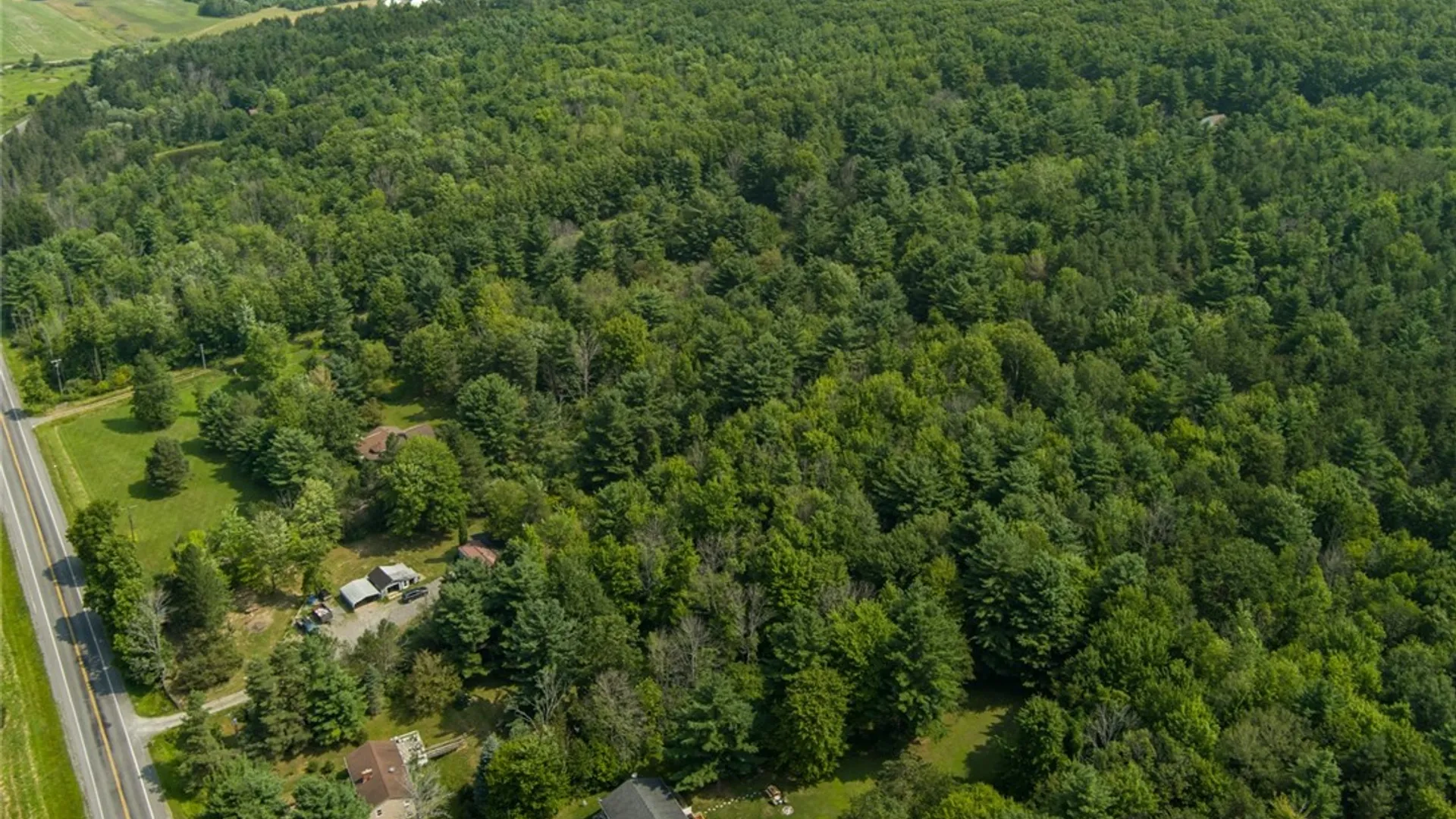 Property at 6037 County Road 37, Canadice, NY 14560 4