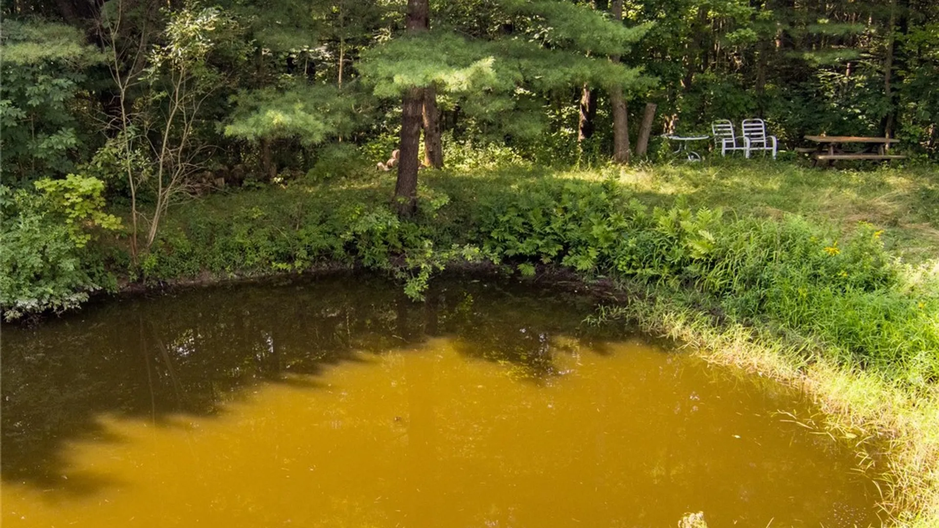 Property at 6037 County Road 37, Canadice, NY 14560 17