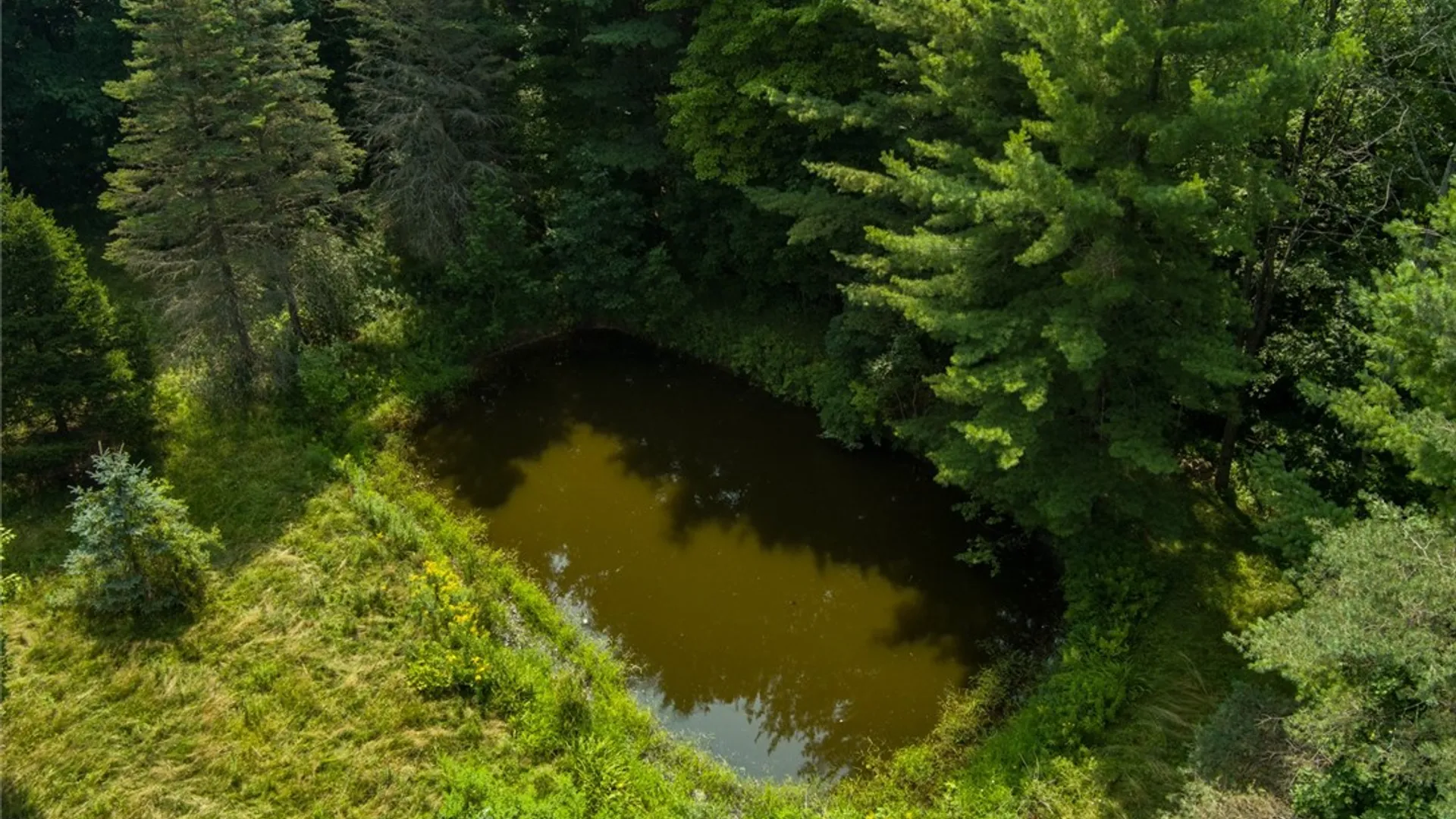 Property at 6037 County Road 37, Canadice, NY 14560 18