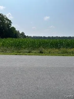 Property at 0 Skillet Road, Scipio, NY 13147