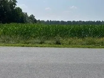 Property at 0 Skillet Road, Scipio, NY 13147