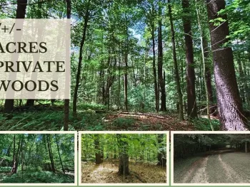 Property at Lot 8 Farm View Road, Harpersfield, NY 13786