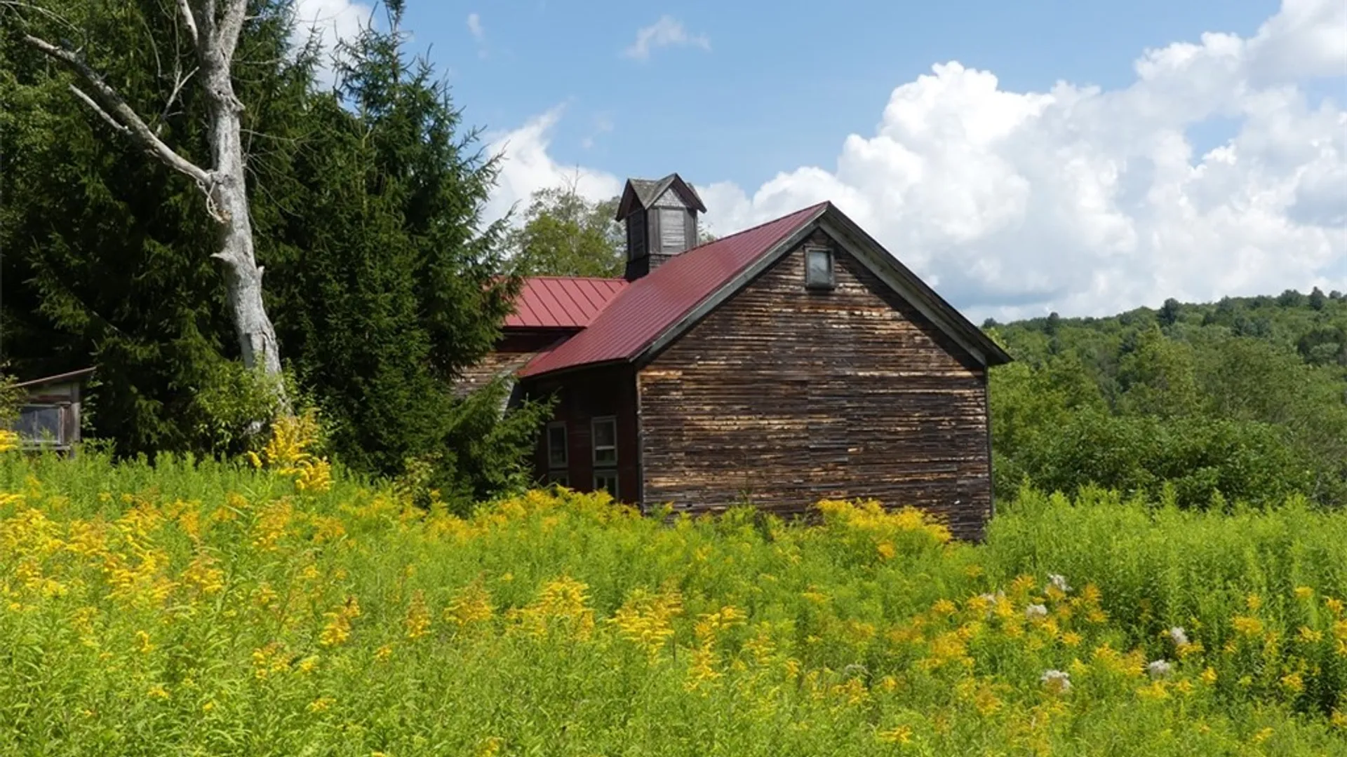 Property at Lot 6.221 State Highway 28, Andes, NY 13731 4