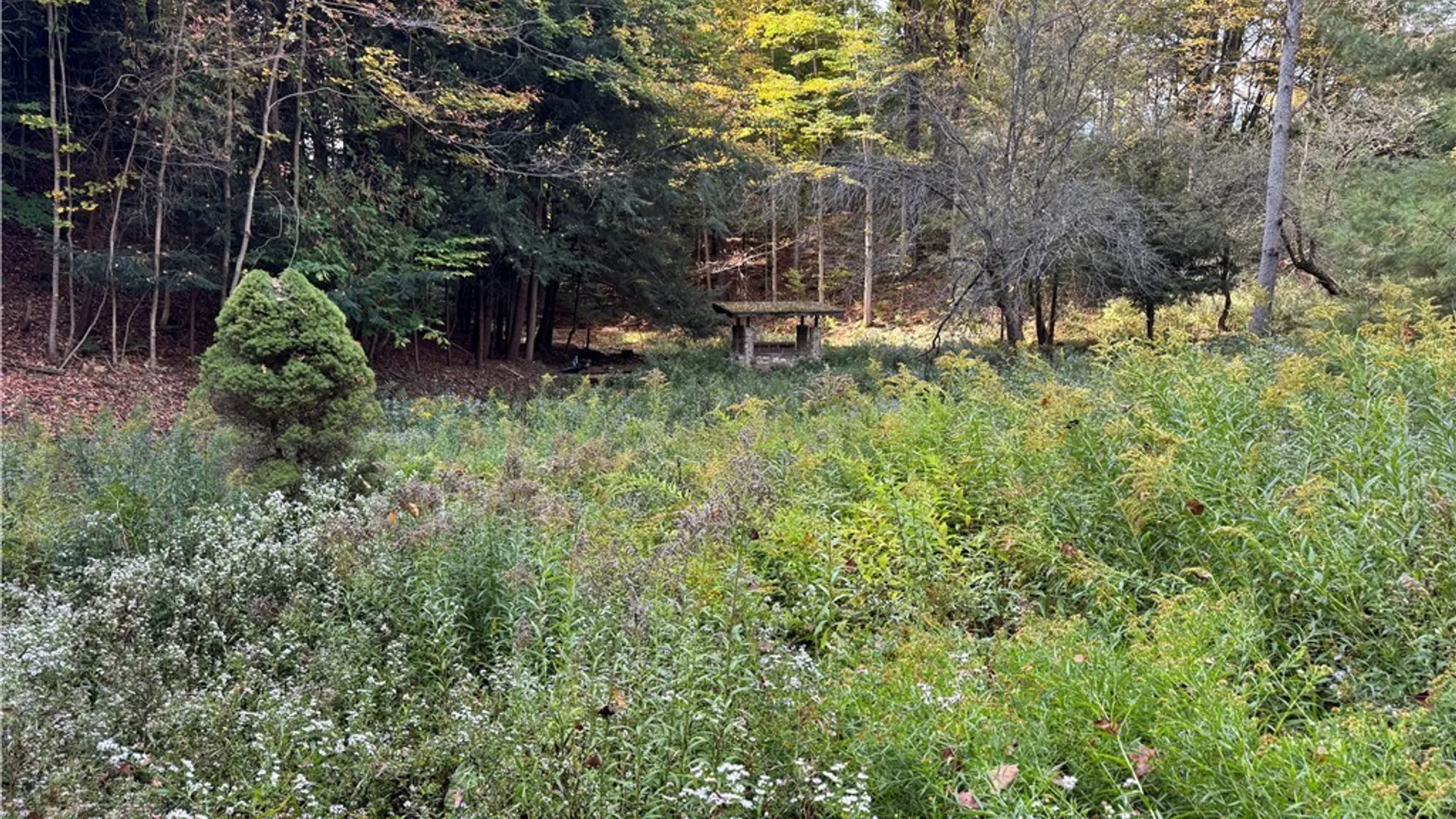Property at 0 Ballina Road, Cazenovia, NY 13035 11