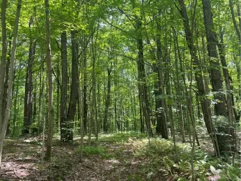 Property at Pleasant Valley Road, Yorkshire, NY 14042