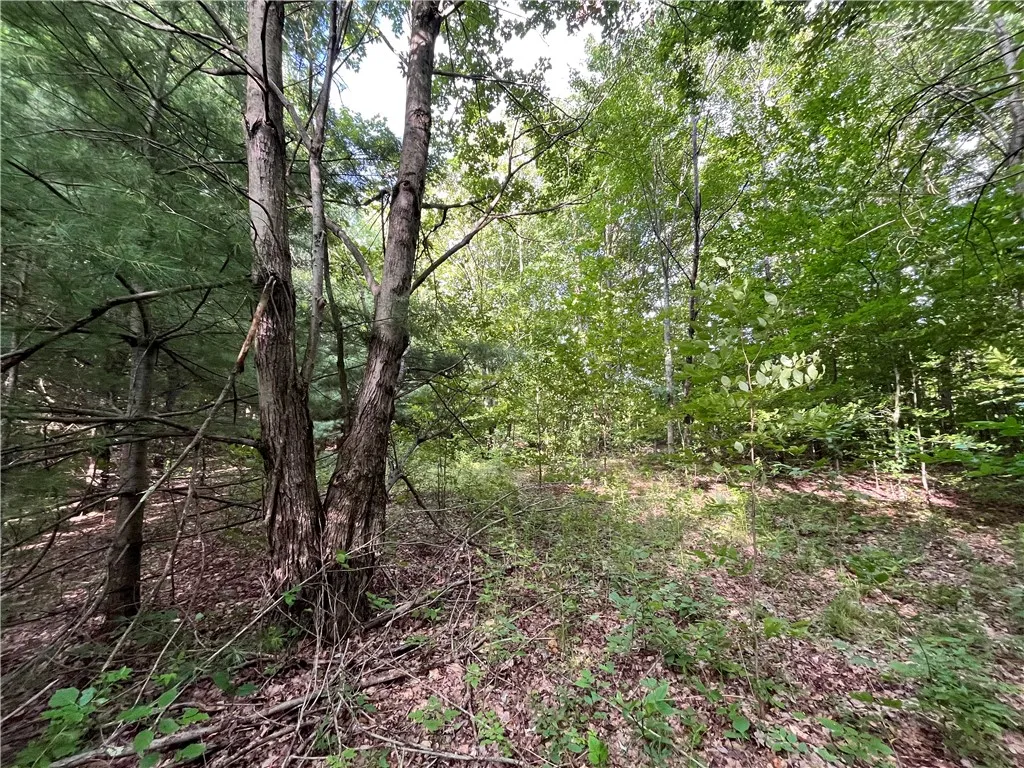 Property at 0 Held #11 Greenbush Road, Erin, NY 14838