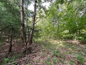 Property at 0 Held #11 Greenbush Road, Erin, NY 14838