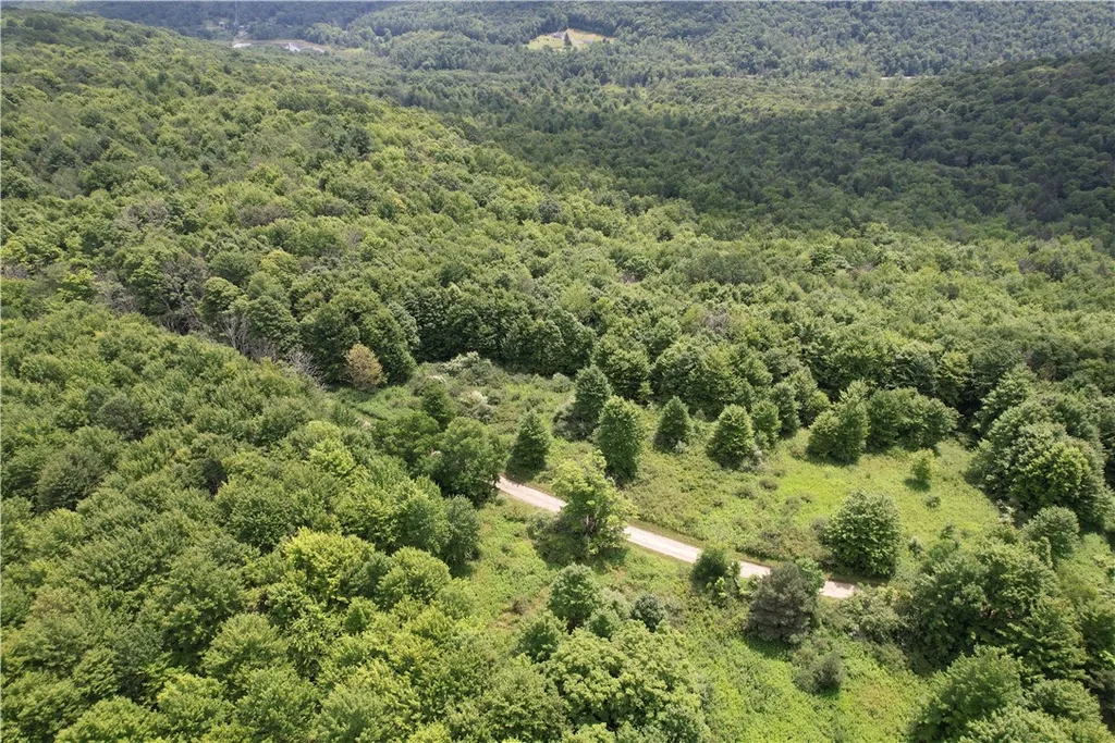 Property at 0 Held #13 Greenbush Road, Erin, NY 14838