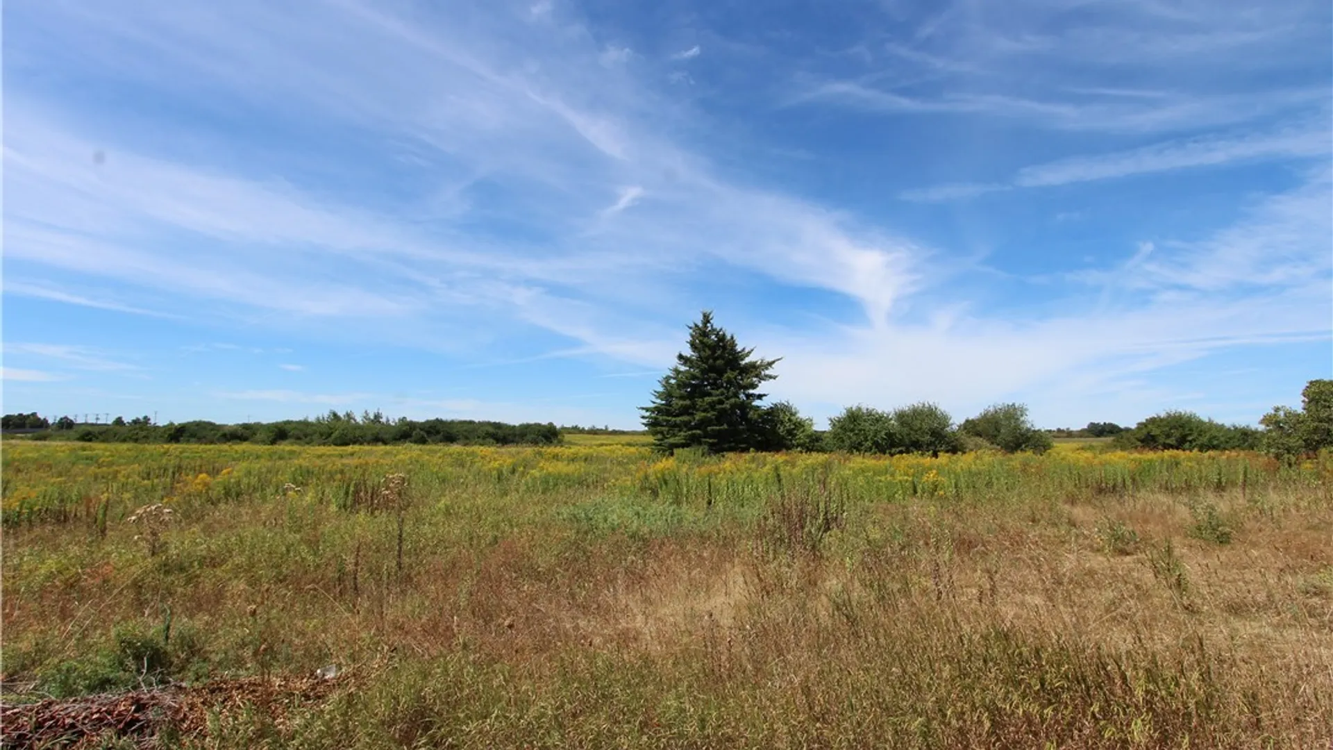 Property at 25049 B Rt-342, Pamelia, NY 13637 6