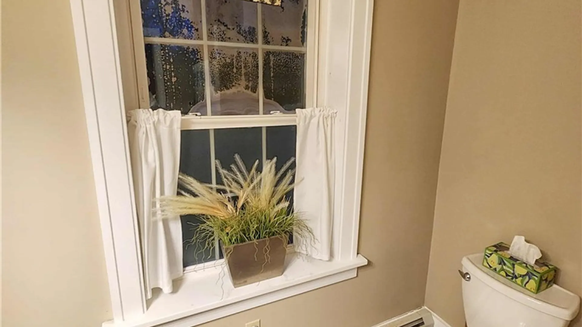 Property at 16 S Franklin Street, New Albion, NY 14719 23