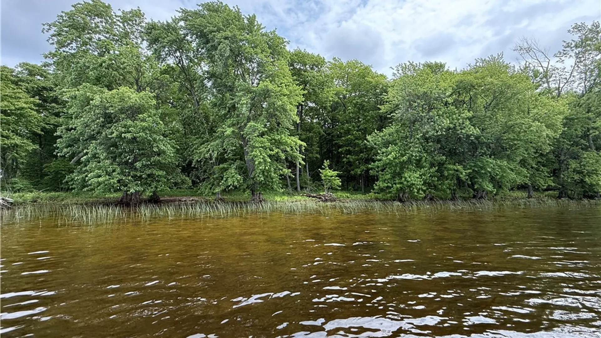 Property at 0 West Rd/Black, Oswegatchie, NY 13633 11
