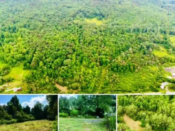 Property at State Highway 23, Harpersfield, NY 13786
