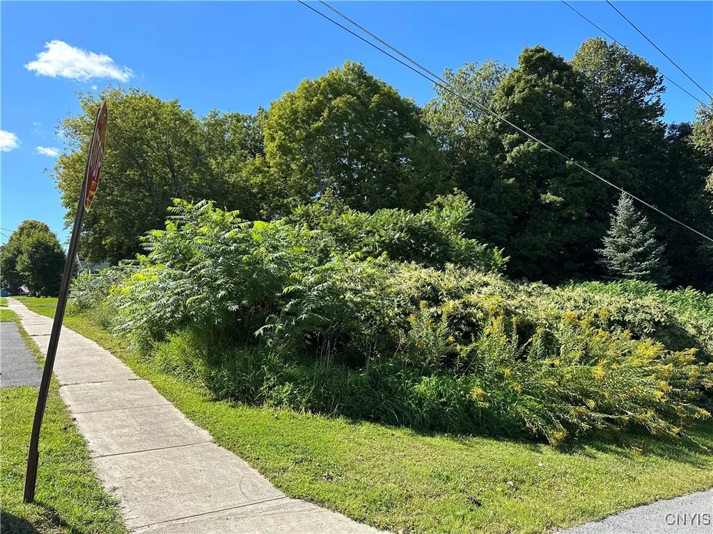 Property at 214 Commercial Street, Theresa, NY 13691