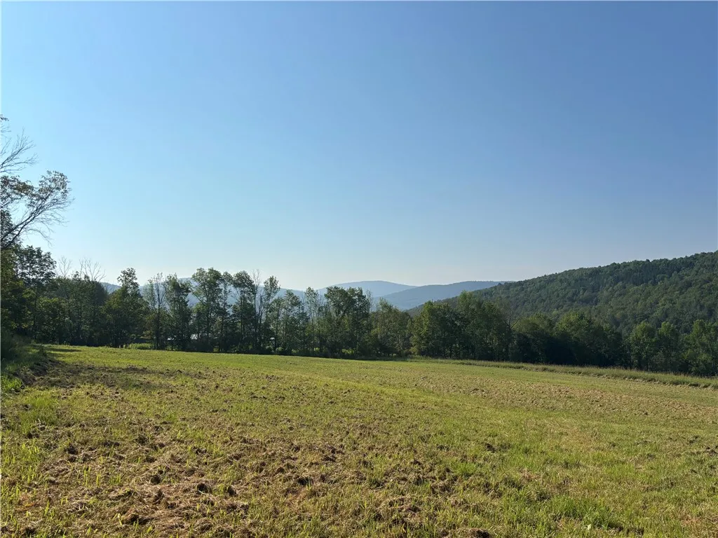 Property at 778 Bragg Hollow Road, Middletown, NY 12438