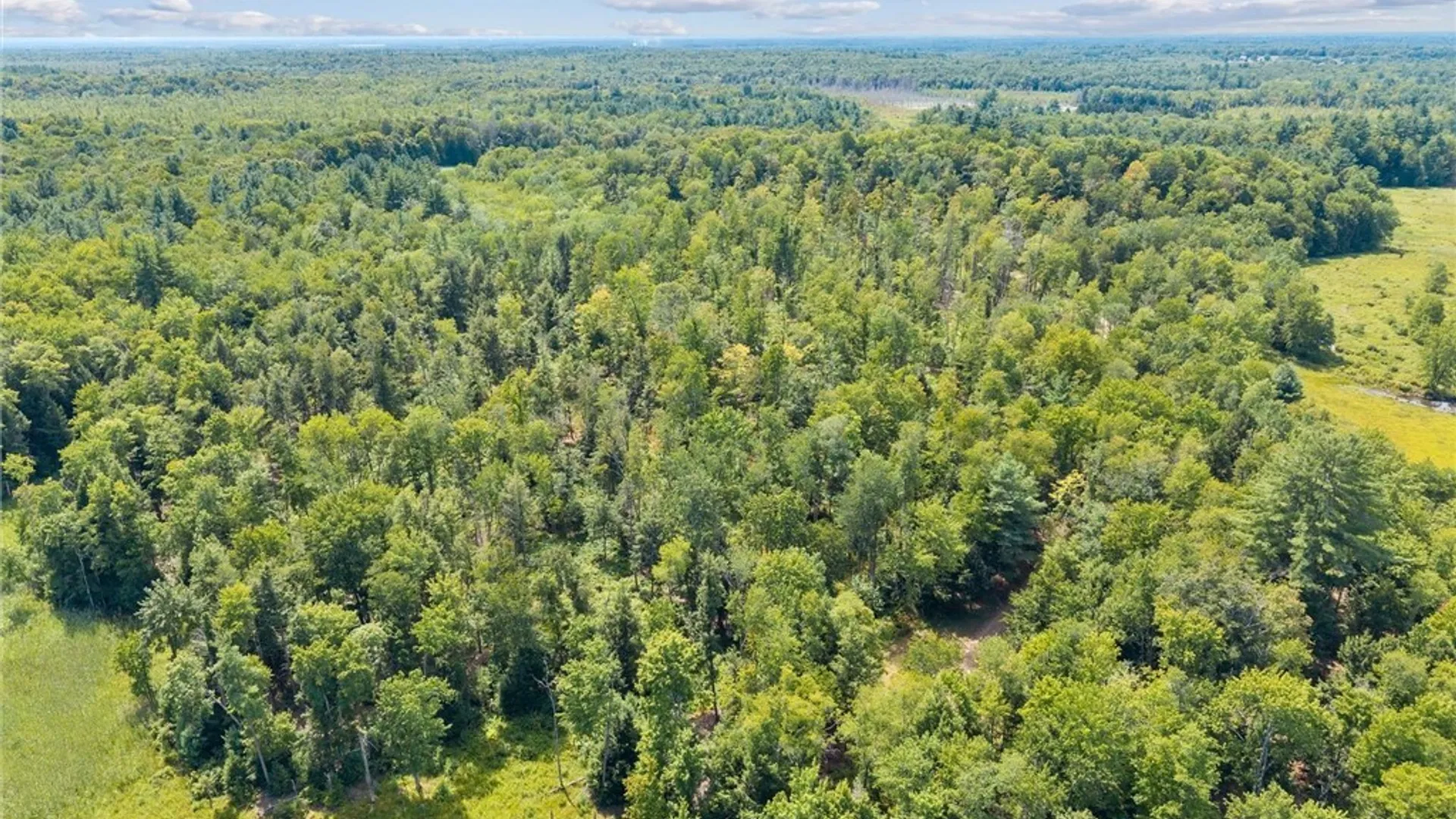 Property at LAND County RT 11, West Monroe, NY 13167 6