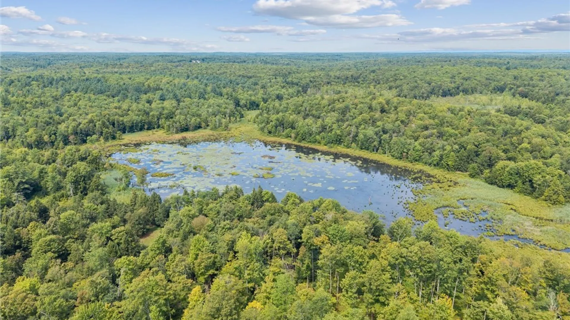 Property at LAND County RT 11, West Monroe, NY 13167 3