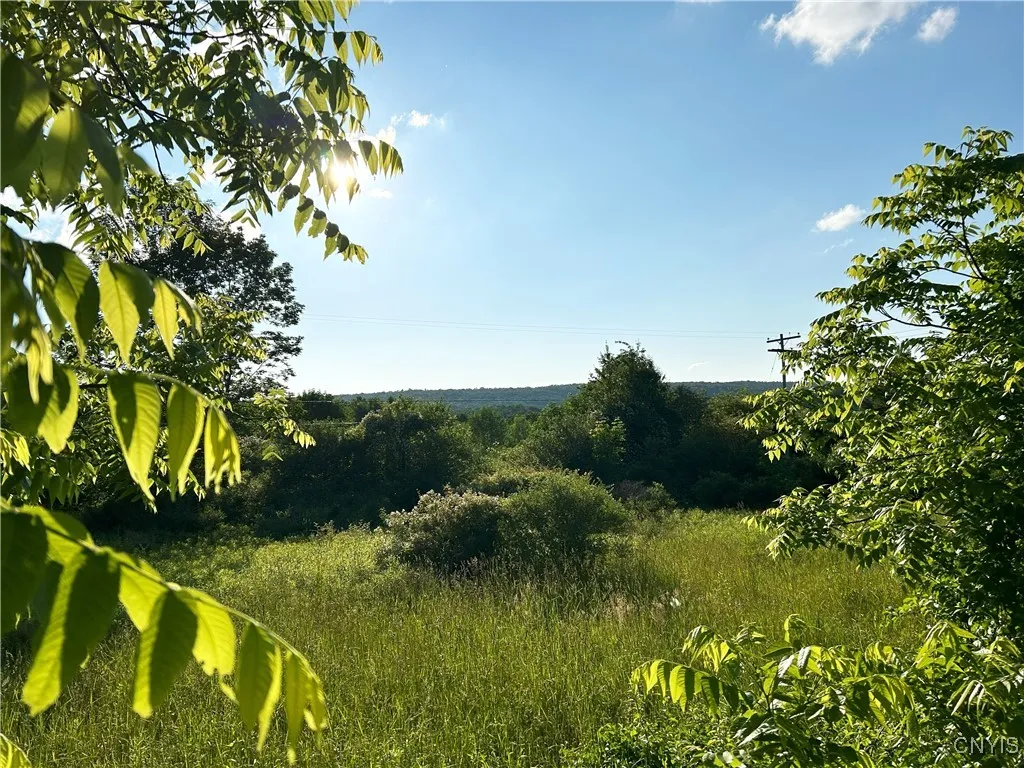 Property at 0 Syrian Hill Road, Solon, NY 13101