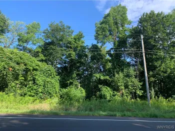 Property at Route 62, Dayton, NY 14041