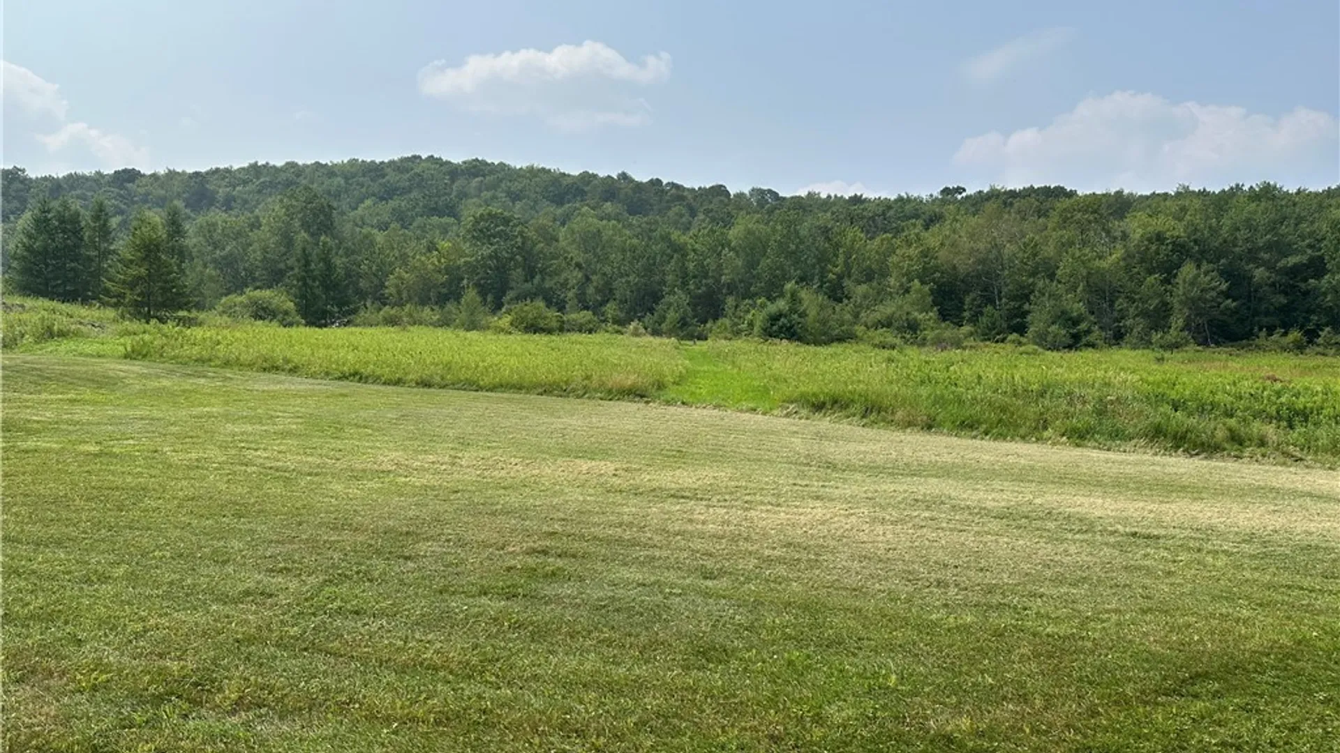 Property at 177 Clendening Road, Colesville, NY 13787 12
