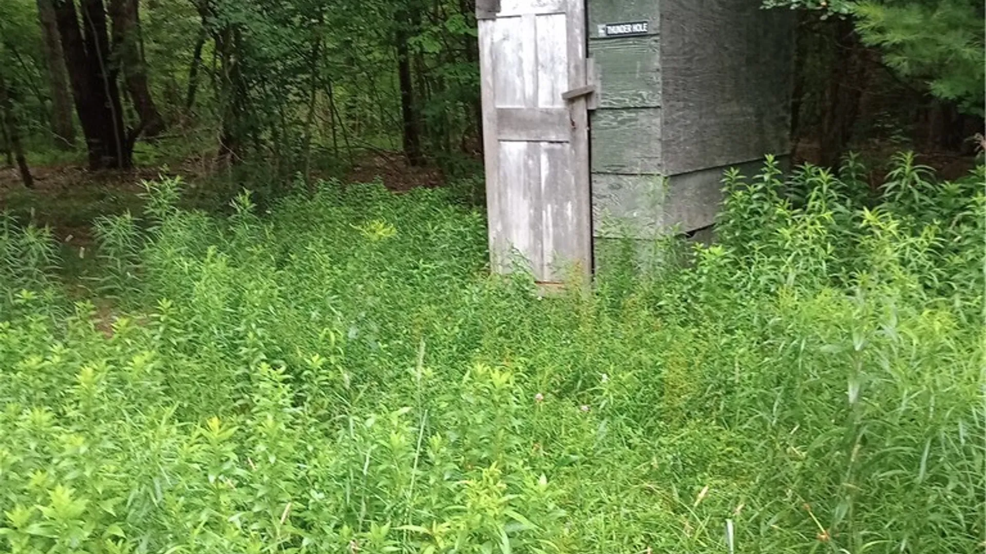 Property at 2091 Parker Hollow Road, Masonville, NY 13849 37