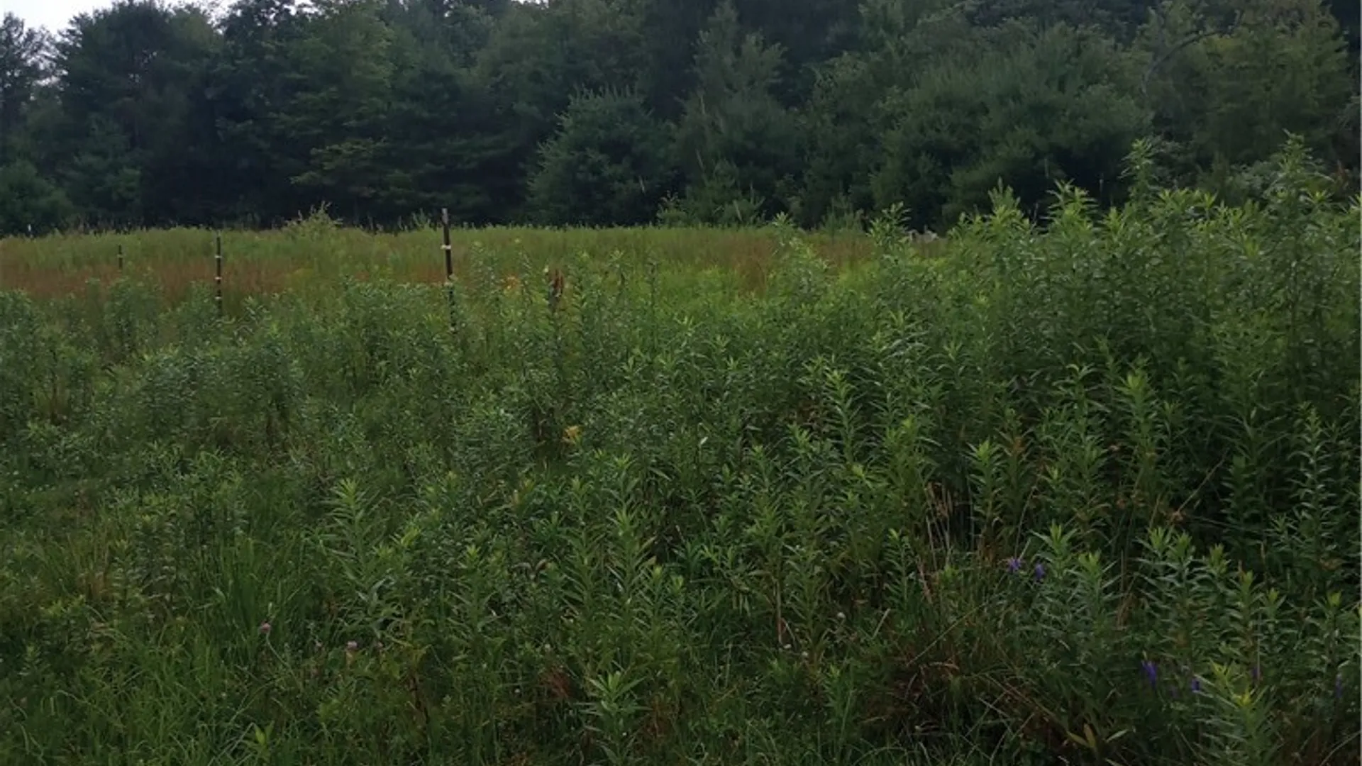 Property at 2091 Parker Hollow Road, Masonville, NY 13849 28