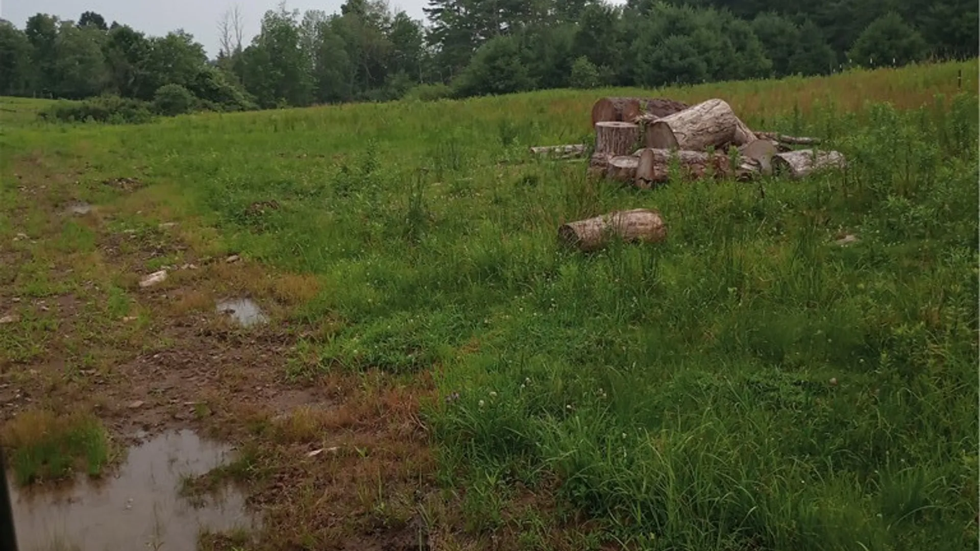 Property at 2091 Parker Hollow Road, Masonville, NY 13849 30