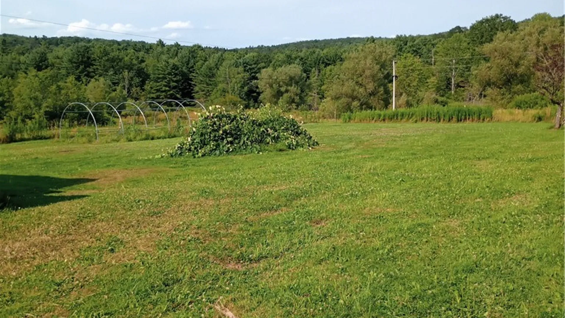 Property at 2091 Parker Hollow Road, Masonville, NY 13849 29
