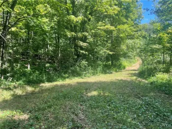 Property at 0 Meirs Road, Williamstown, NY 13493