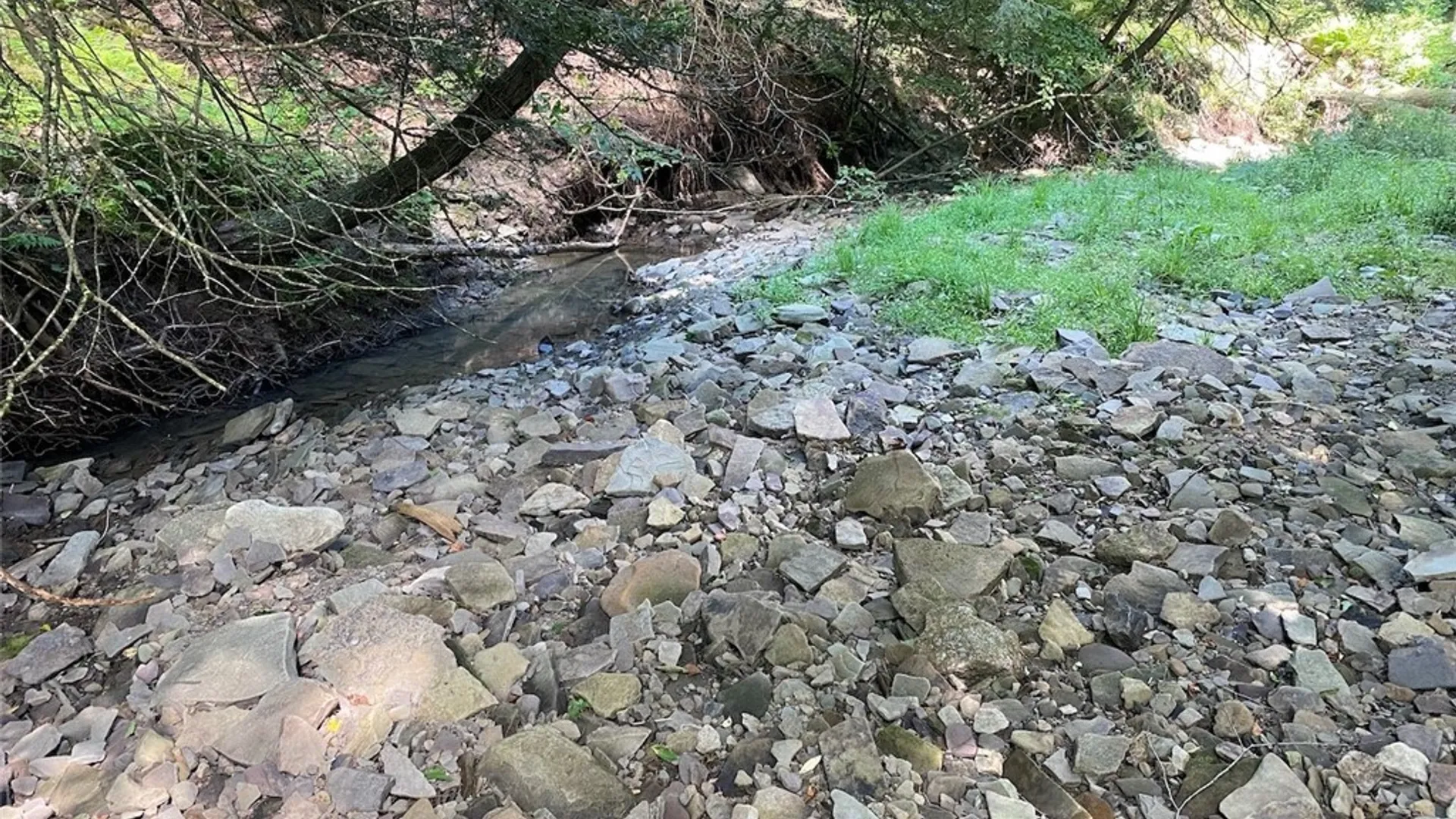 Property at State Route 244, Ward, NY 14813 7