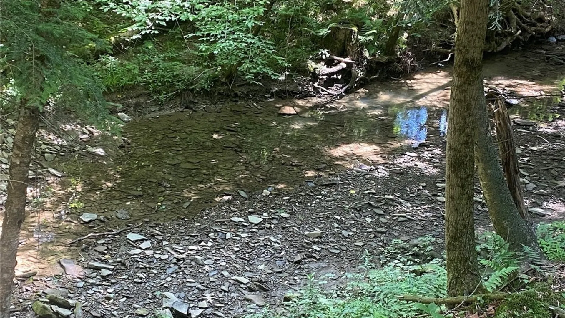Property at State Route 244, Ward, NY 14813 17