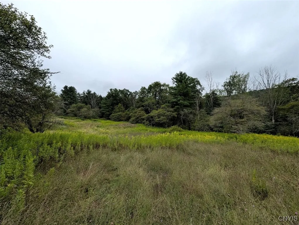 Property at State Route 417, Woodhull, NY 14898