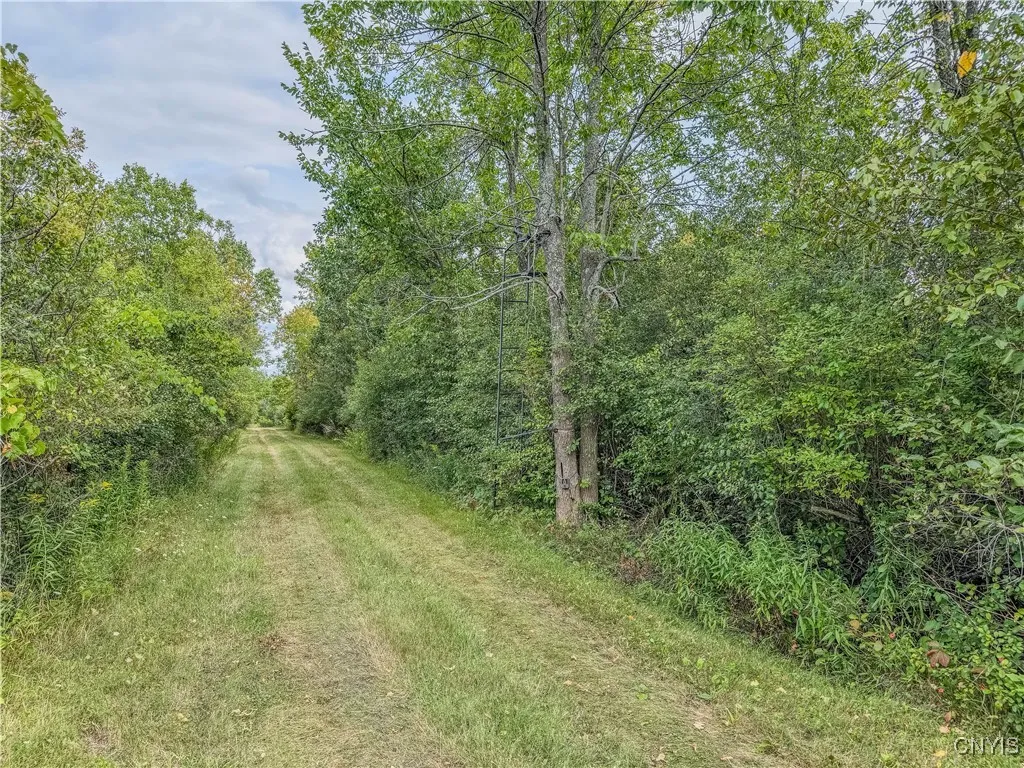 Property at Timmerman Road, Brownville, NY 13615