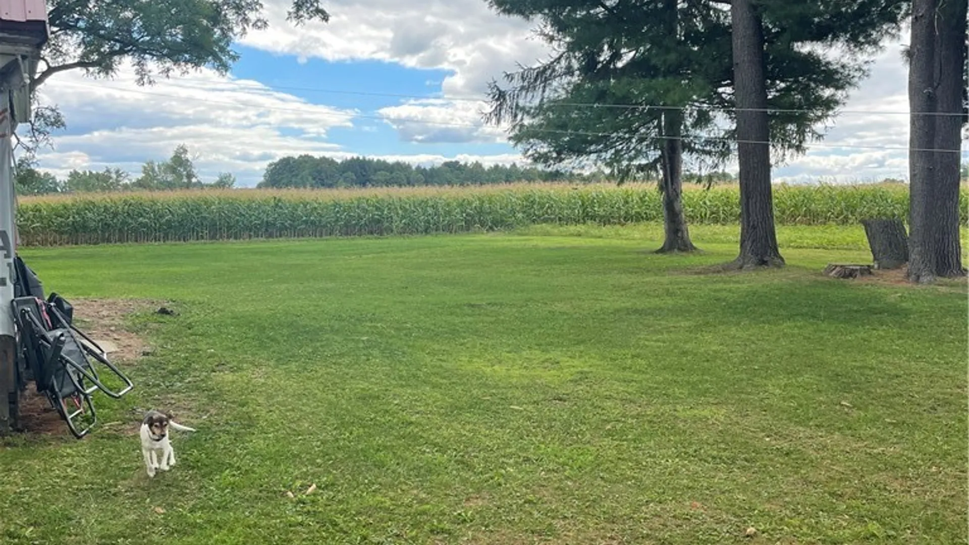 Property at 11339 Merwin Road, Hume, NY 14735 5