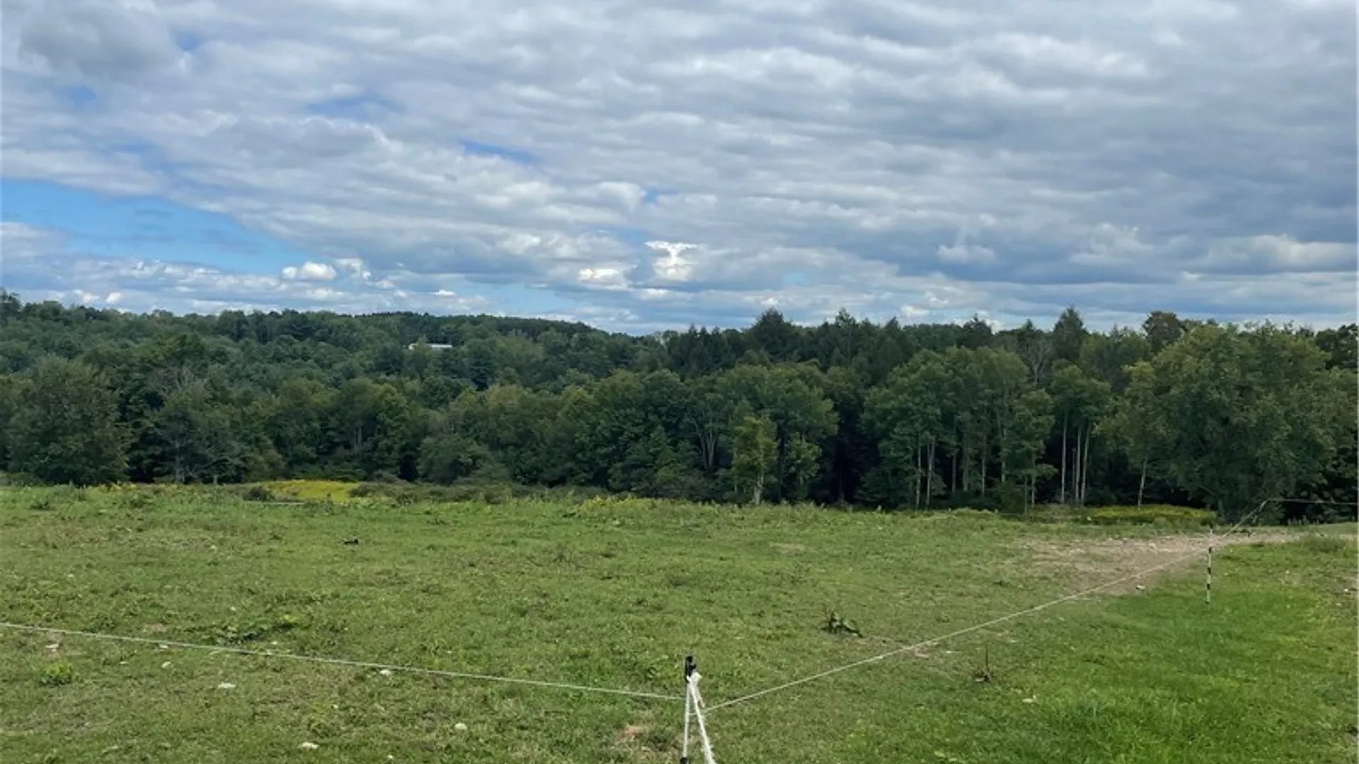 Property at 11339 Merwin Road, Hume, NY 14735 41