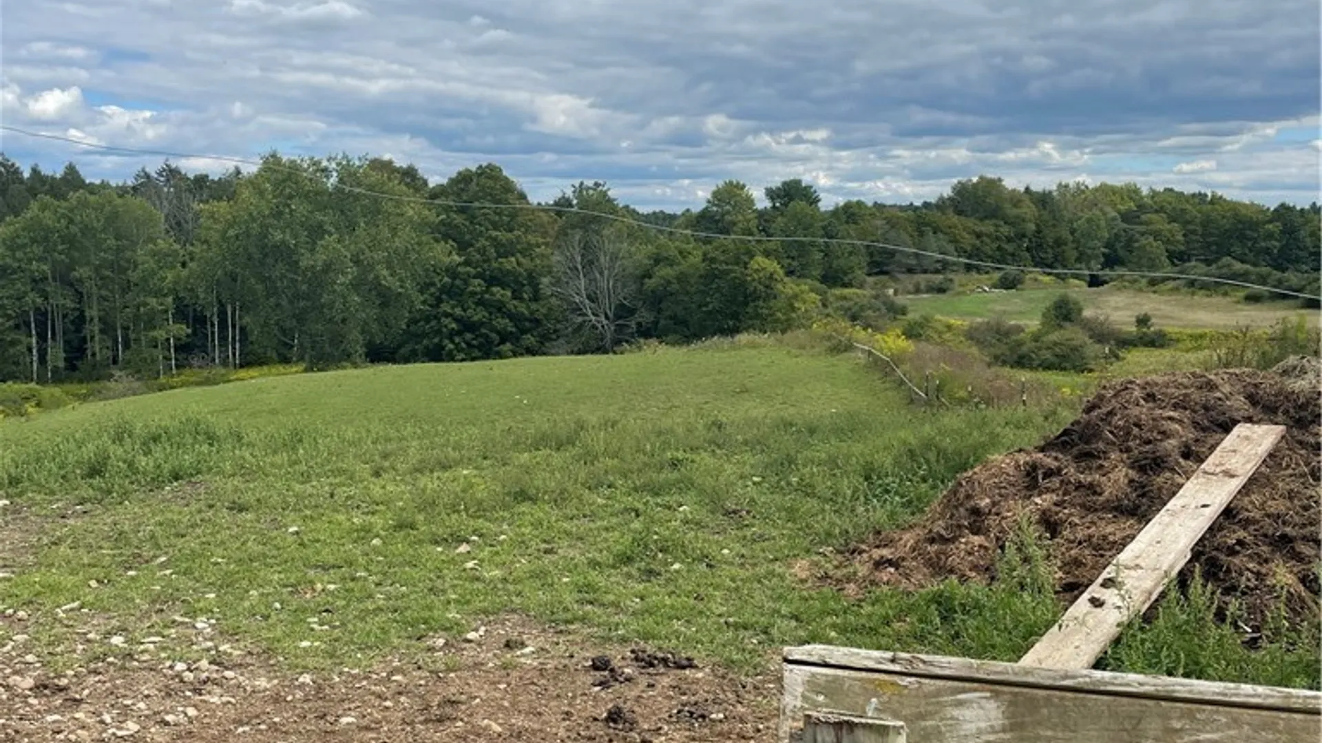 Property at 11339 Merwin Road, Hume, NY 14735 46