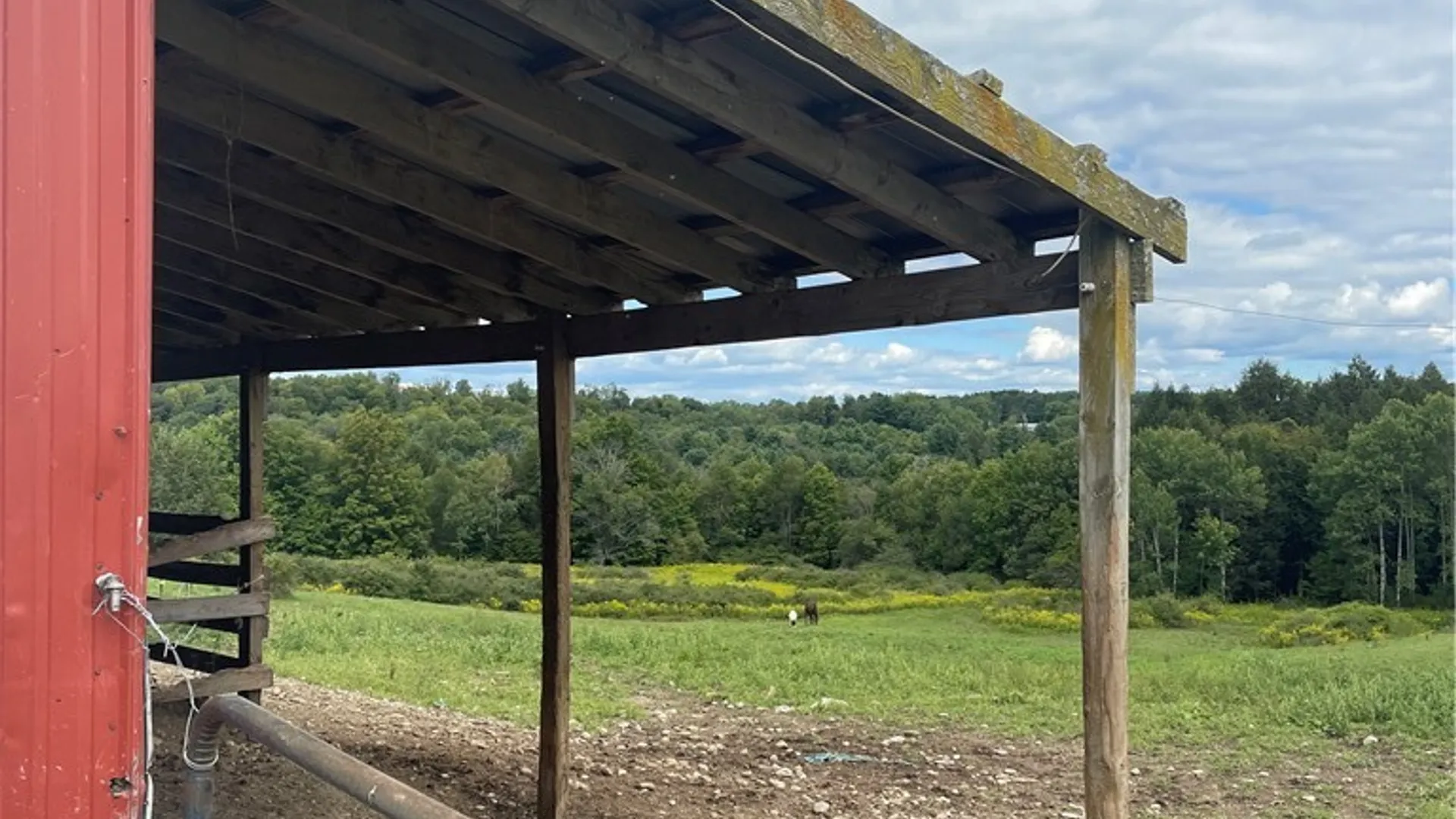 Property at 11339 Merwin Road, Hume, NY 14735 48