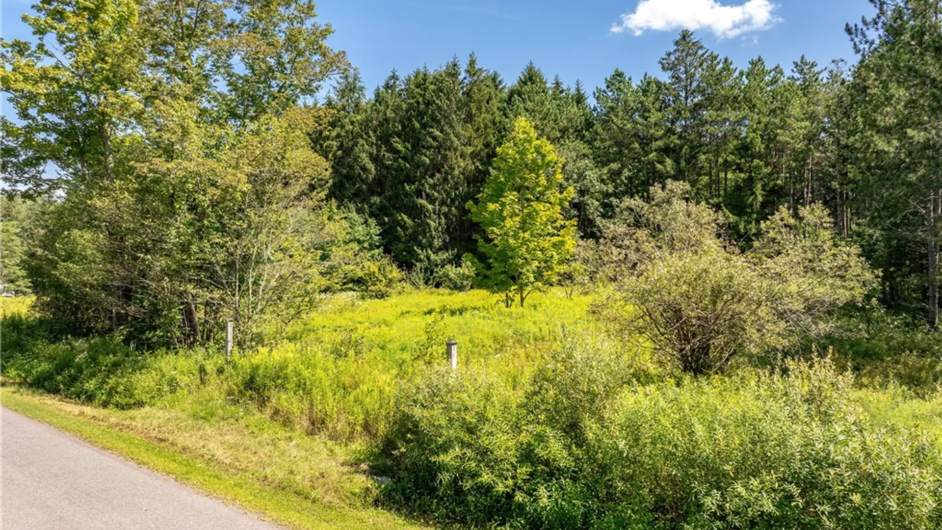 Property at Lot #11 Masonville Pond Cummings Road, Masonville, NY 13839 4