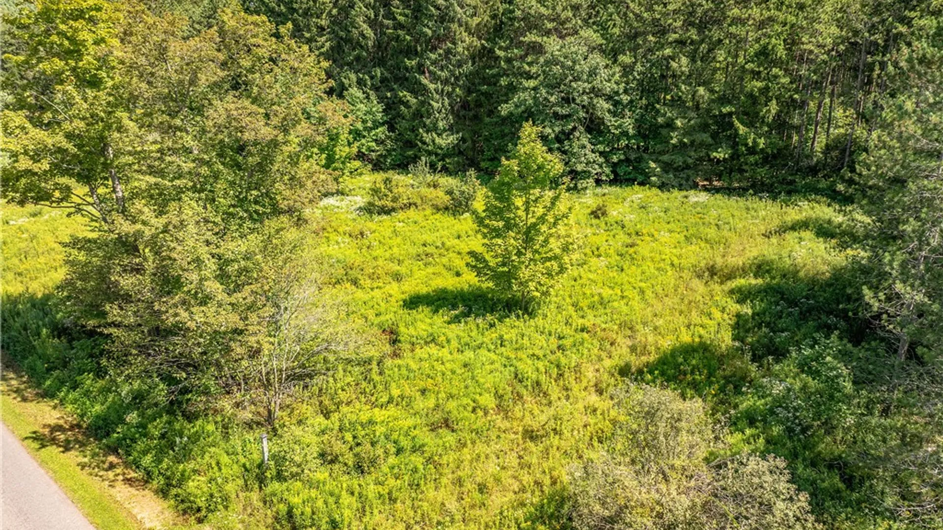 Property at Lot #11 Masonville Pond Cummings Road, Masonville, NY 13839 5