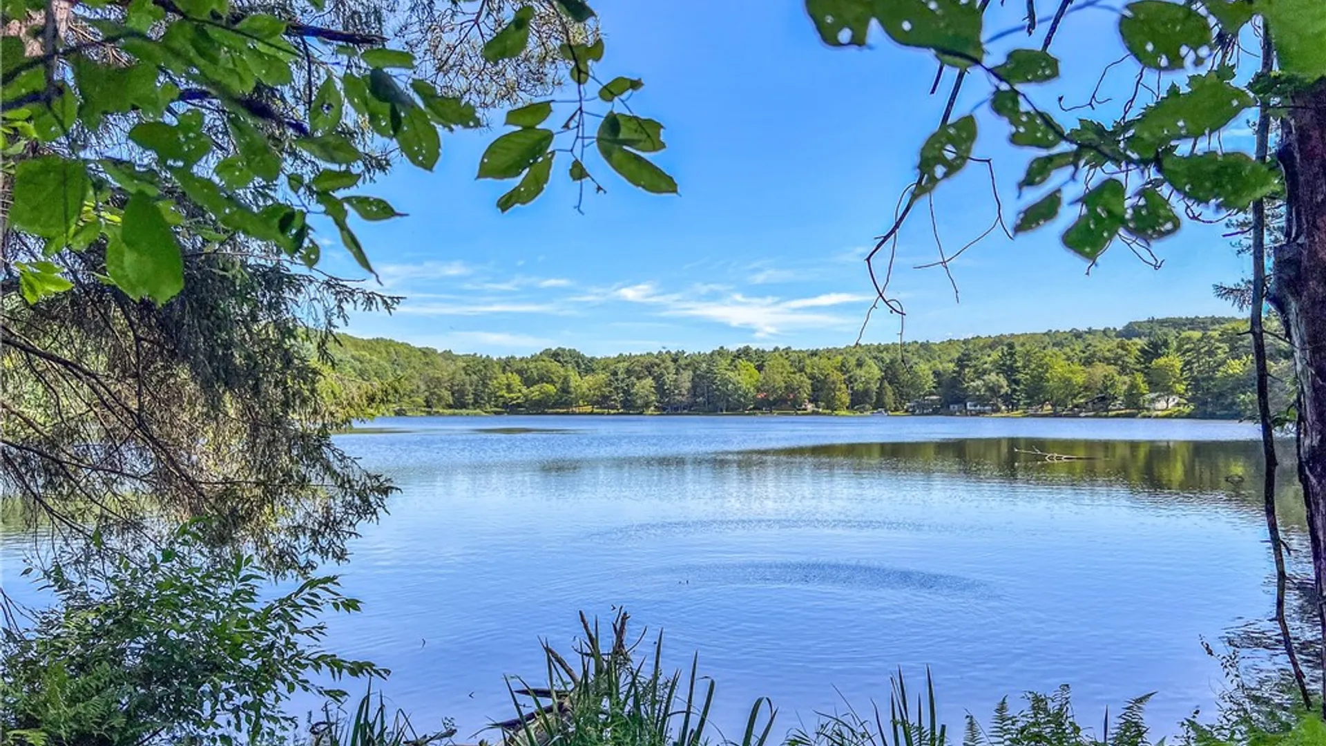 Property at Lot #11 Masonville Pond Cummings Road, Masonville, NY 13839 7