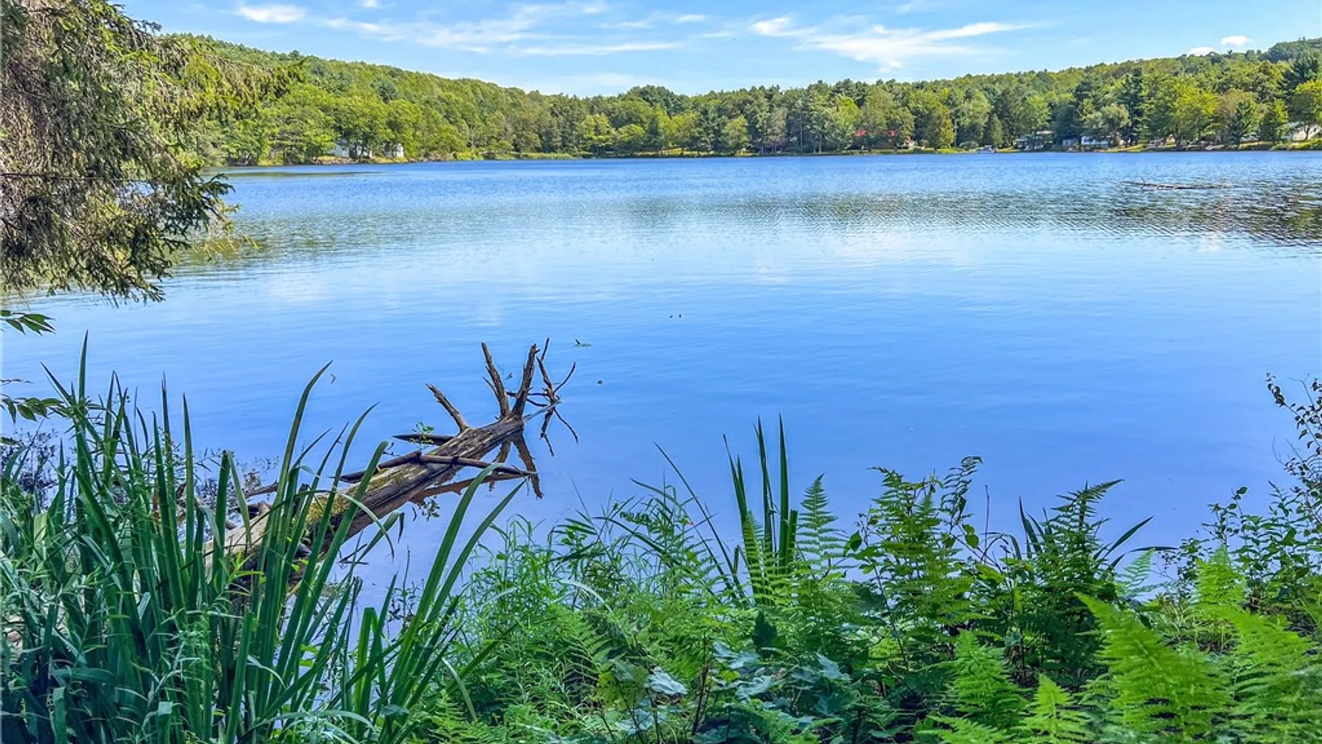 Property at Lot #11 Masonville Pond Cummings Road, Masonville, NY 13839 8