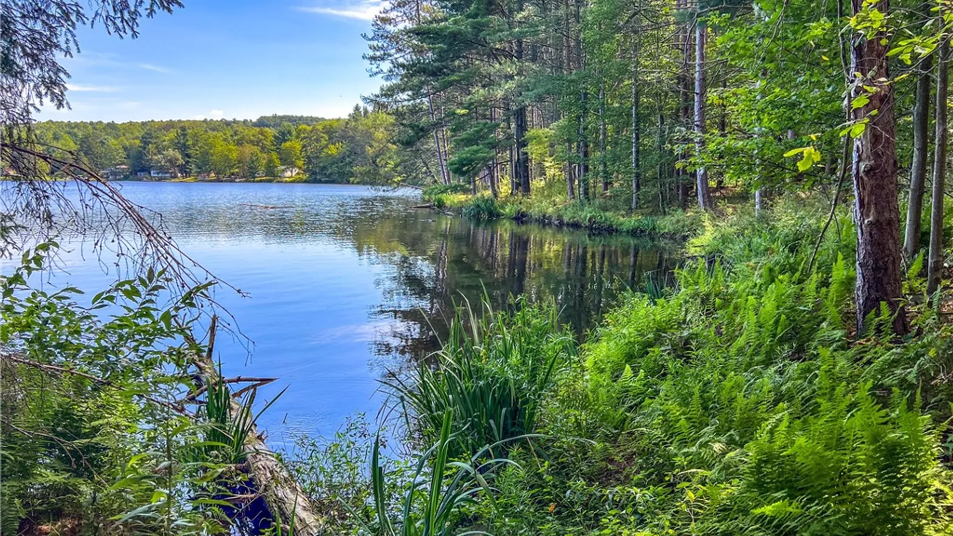 Property at Lot #11 Masonville Pond Cummings Road, Masonville, NY 13839 9