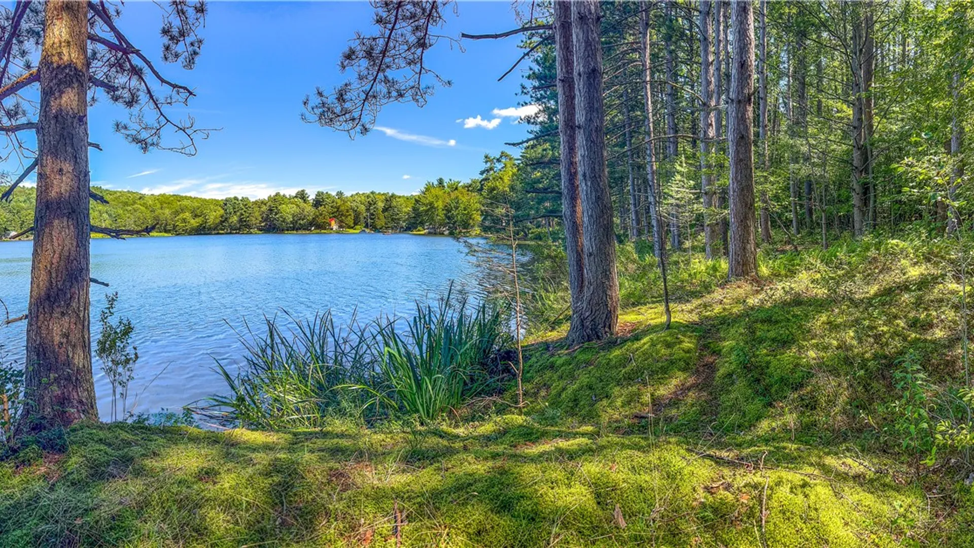 Property at Lot #11 Masonville Pond Cummings Road, Masonville, NY 13839 13