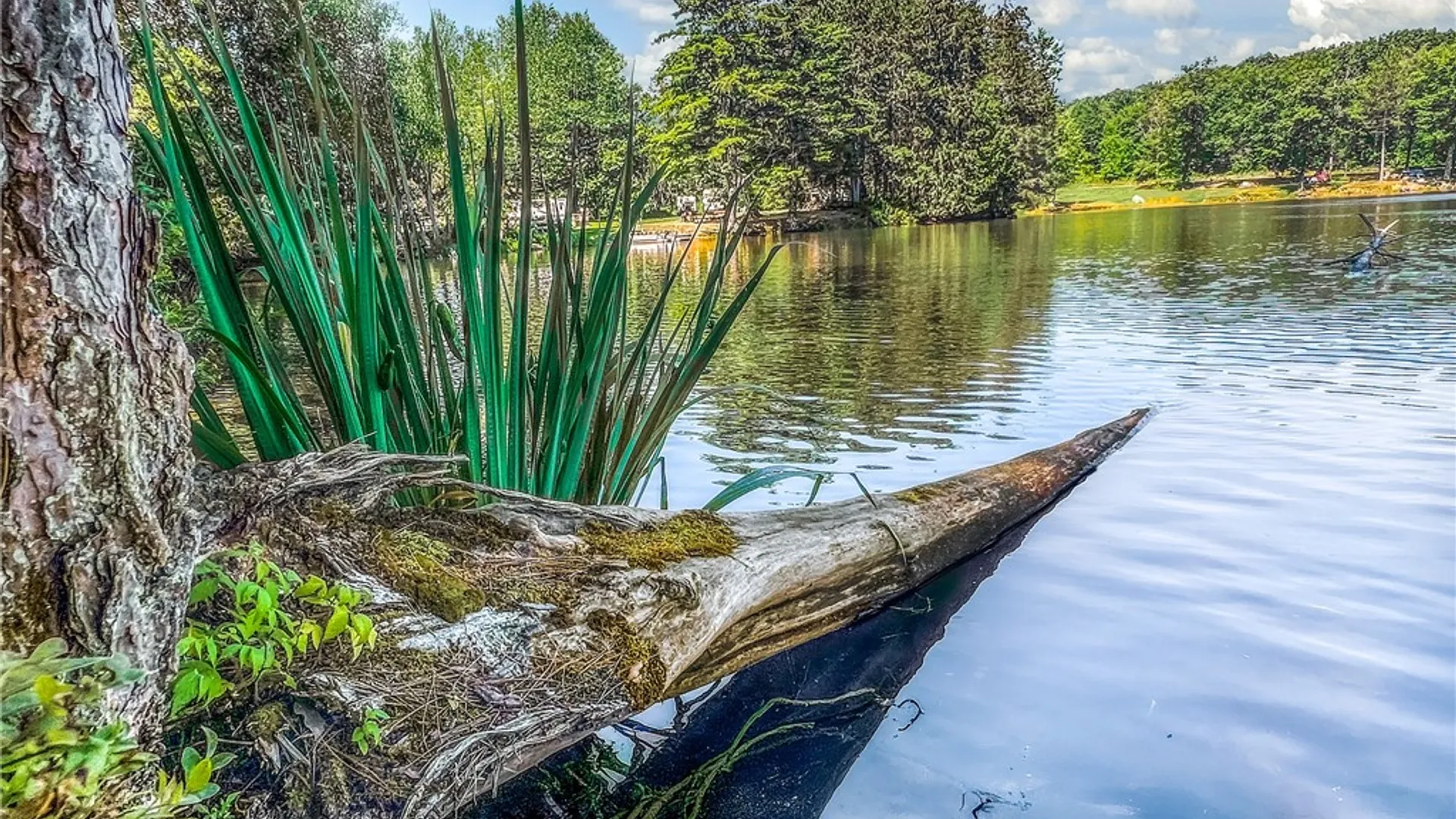 Property at Lot #11 Masonville Pond Cummings Road, Masonville, NY 13839 16