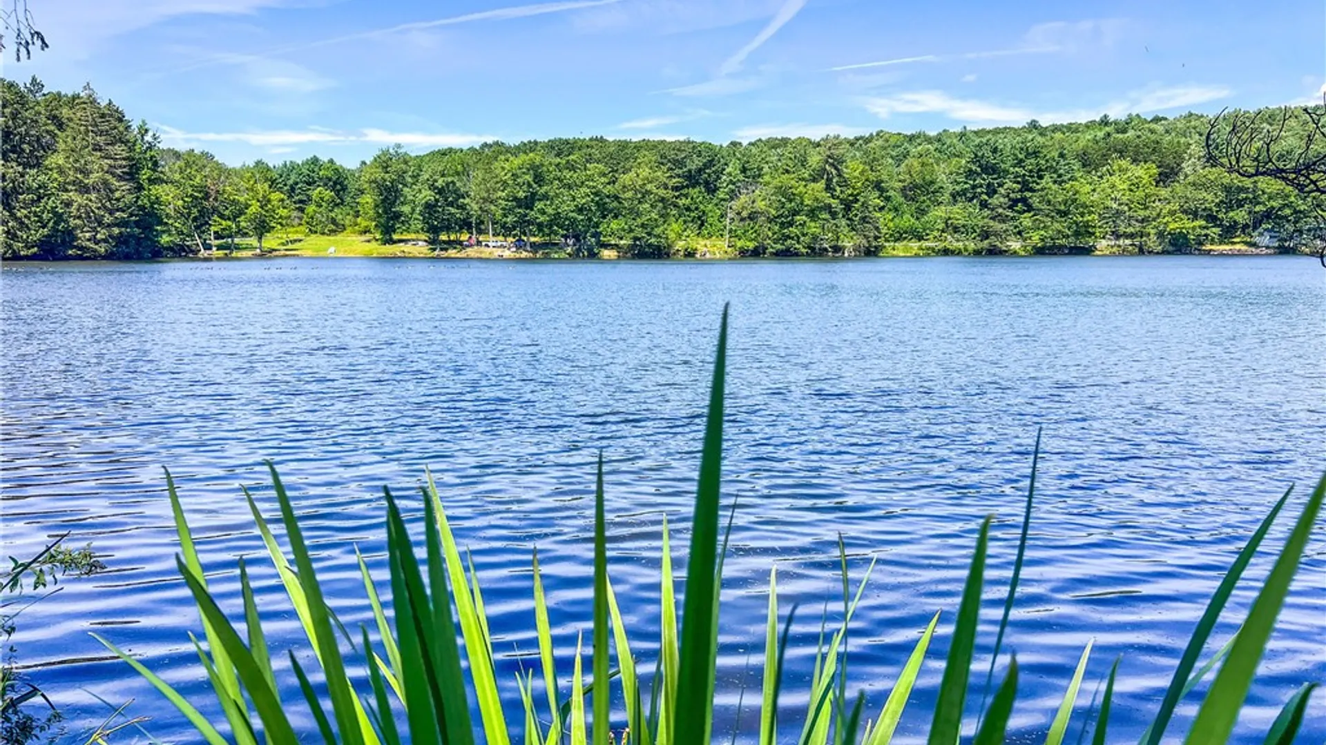 Property at Lot #11 Masonville Pond Cummings Road, Masonville, NY 13839 17