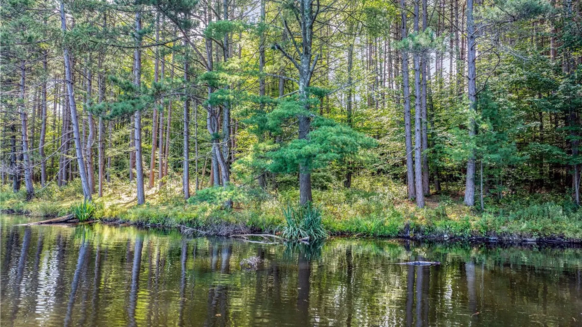 Property at Lot #11 Masonville Pond Cummings Road, Masonville, NY 13839 18