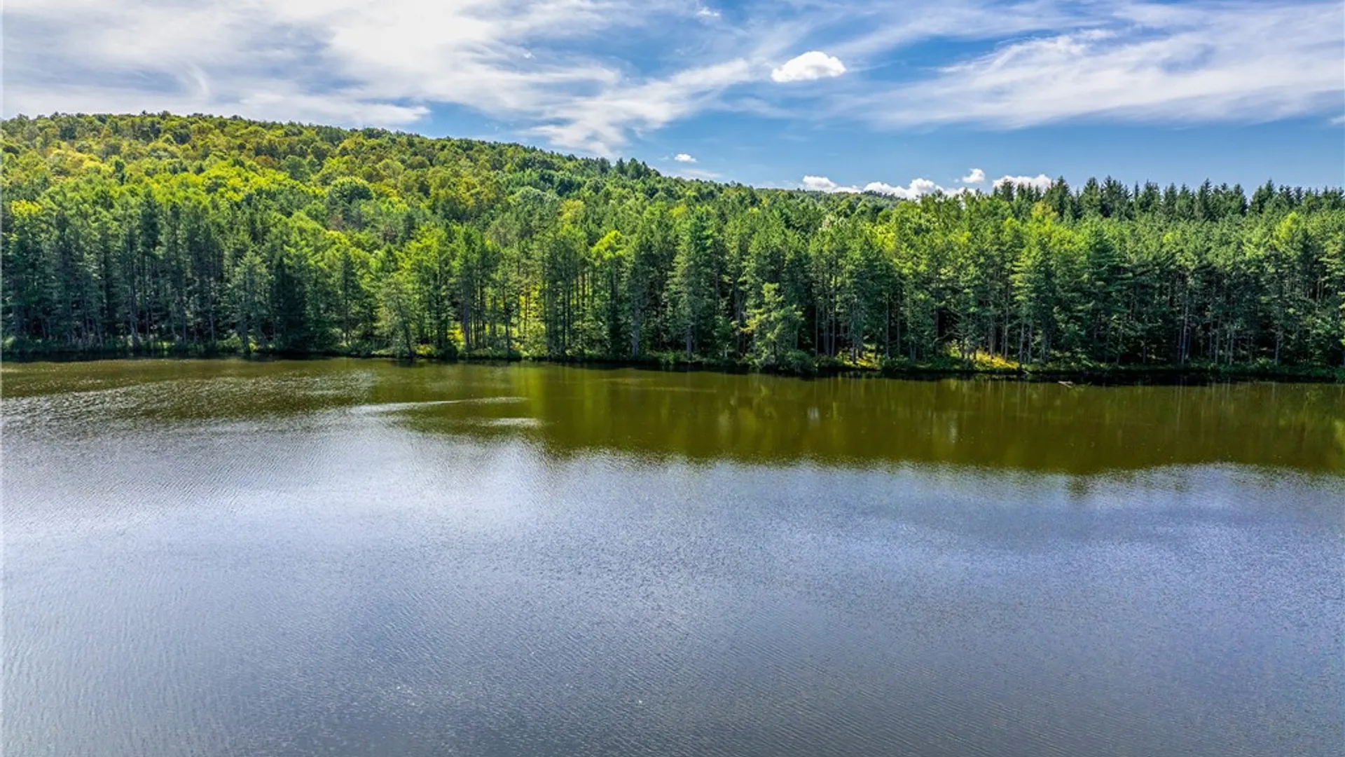 Property at Lot #11 Masonville Pond Cummings Road, Masonville, NY 13839 21