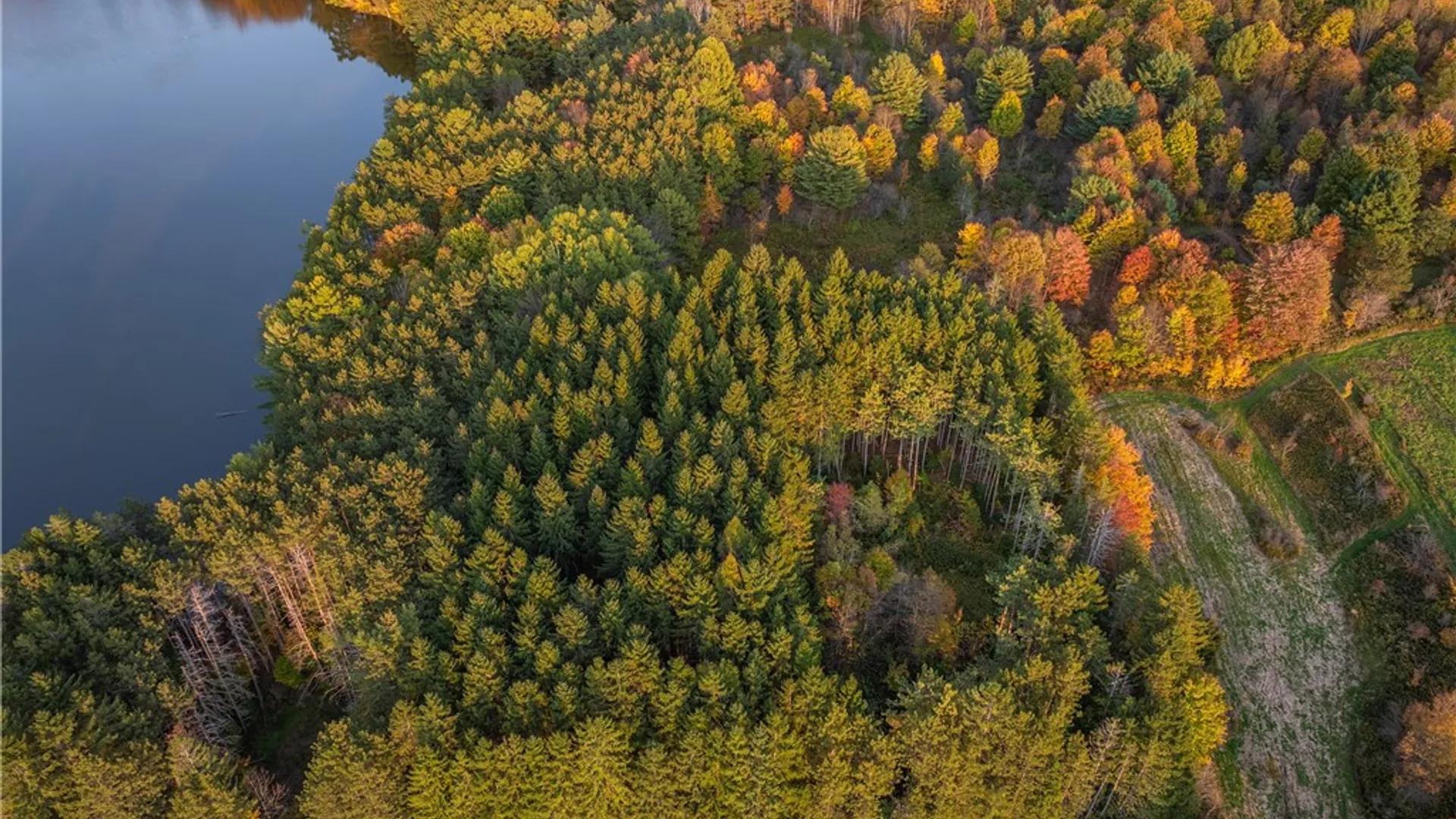 Property at Lot #11 Masonville Pond Cummings Road, Masonville, NY 13839 28