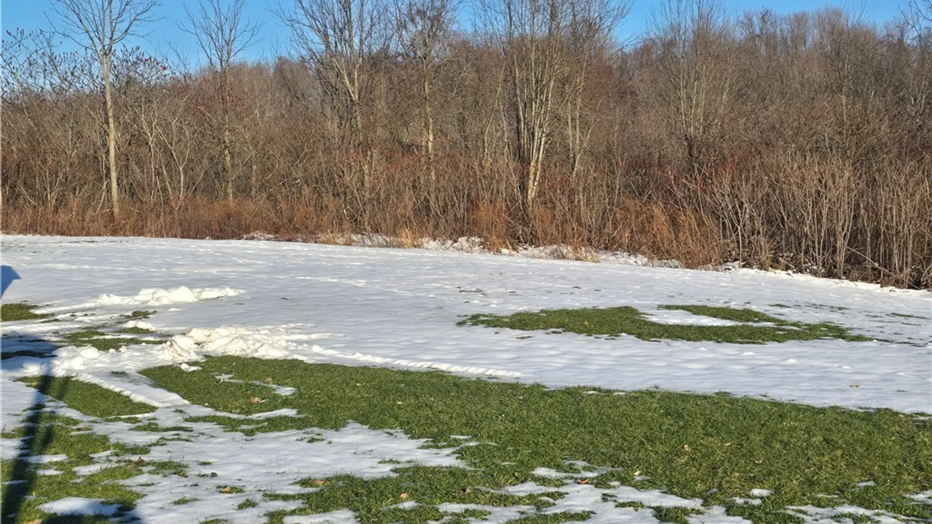 Property at 2818 Drable Road, Savannah, NY 13146 32