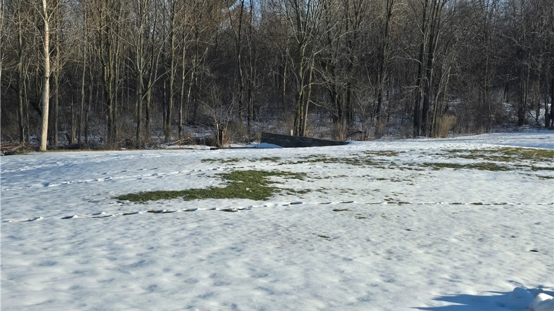 Property at 2818 Drable Road, Savannah, NY 13146 33