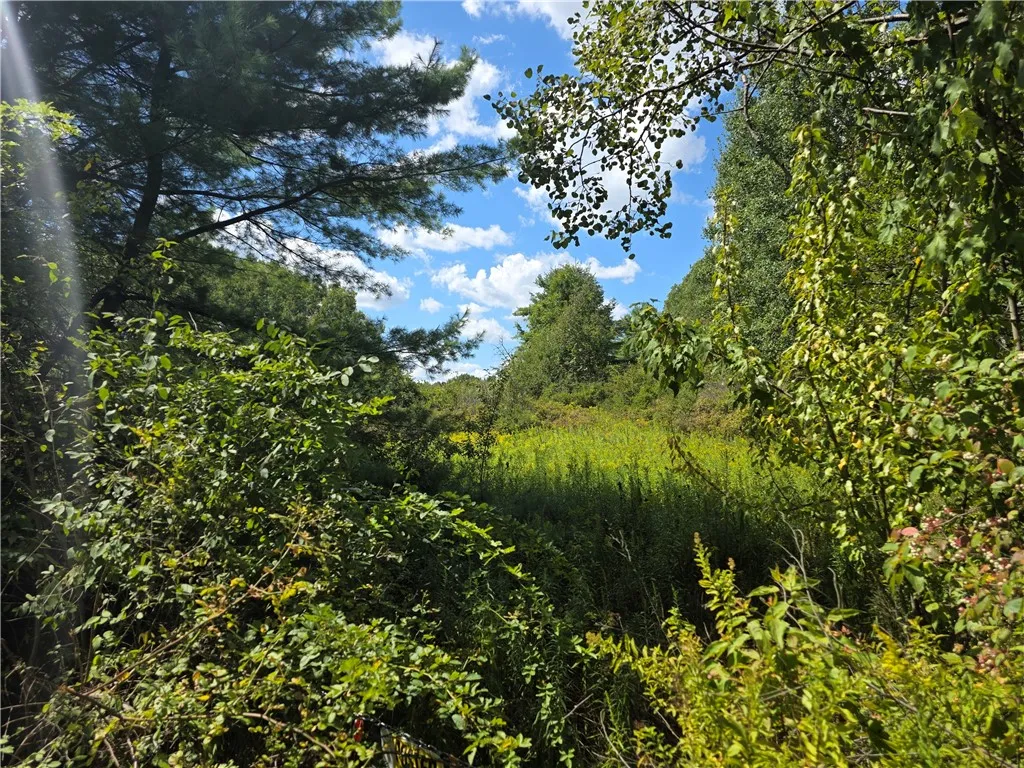 Property at Frog Hollow Road, Campbell, NY 14870